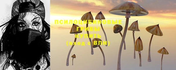 2c-b Медногорск